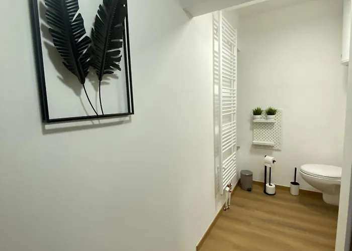 D-011 Bel Calme Climatise Parking Prive Gratuit Sur Demande Appartement Charleroi