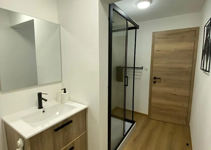 D-011 Bel Calme Climatise Parking Prive Gratuit Sur Demande Appartement Charleroi